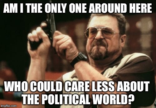 Am I The Only One Around Here | AM I THE ONLY ONE AROUND HERE WHO COULD CARE LESS ABOUT THE POLITICAL WORLD? | image tagged in memes,am i the only one around here | made w/ Imgflip meme maker