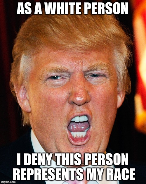 Donald Trump I Will Duck You Up | AS A WHITE PERSON I DENY THIS PERSON REPRESENTS MY RACE | image tagged in donald trump i will duck you up | made w/ Imgflip meme maker