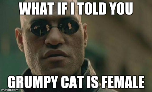 Matrix Morpheus | WHAT IF I TOLD YOU GRUMPY CAT IS FEMALE | image tagged in memes,matrix morpheus | made w/ Imgflip meme maker