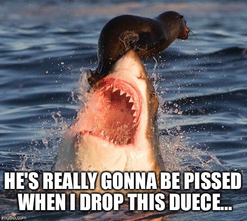 Travelonshark Meme | HE'S REALLY GONNA BE PISSED WHEN I DROP THIS DUECE... | image tagged in memes,travelonshark | made w/ Imgflip meme maker