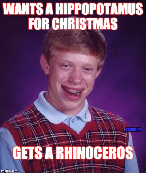 Bad Luck Brian | WANTS A HIPPOPOTAMUS FOR CHRISTMAS GETS A RHINOCEROS ZOMBILL77 | image tagged in memes,bad luck brian | made w/ Imgflip meme maker