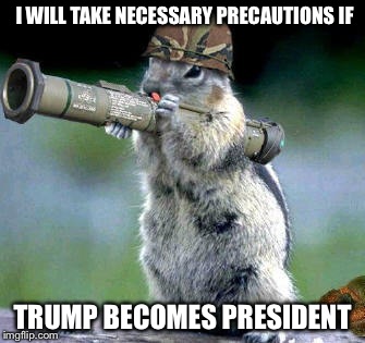 Bazooka Squirrel | I WILL TAKE NECESSARY PRECAUTIONS IF TRUMP BECOMES PRESIDENT | image tagged in memes,bazooka squirrel | made w/ Imgflip meme maker