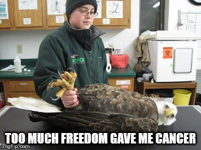 ill eagle | TOO MUCH FREEDOM GAVE ME CANCER | image tagged in ill eagle | made w/ Imgflip meme maker