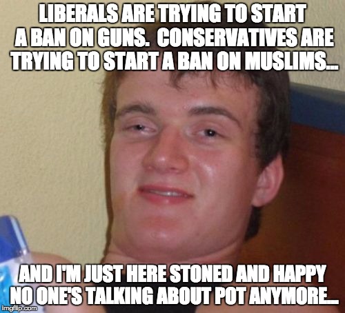 10 Guy Meme | LIBERALS ARE TRYING TO START A BAN ON GUNS.  CONSERVATIVES ARE TRYING TO START A BAN ON MUSLIMS... AND I'M JUST HERE STONED AND HAPPY NO ONE | image tagged in memes,10 guy | made w/ Imgflip meme maker