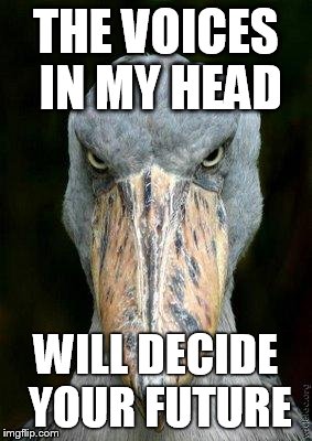 Scary bird | THE VOICES IN MY HEAD WILL DECIDE YOUR FUTURE | image tagged in scary bird | made w/ Imgflip meme maker
