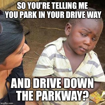 Please tell me this is original. Just seems to obvious not to have been said before lol | SO YOU'RE TELLING ME YOU PARK IN YOUR DRIVE WAY AND DRIVE DOWN THE PARKWAY? | image tagged in memes,third world skeptical kid | made w/ Imgflip meme maker