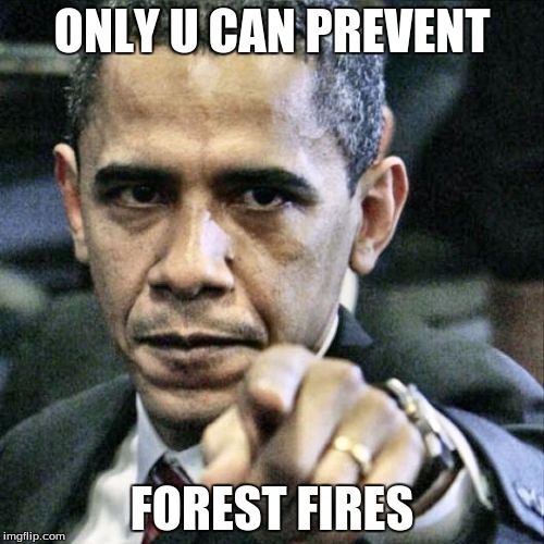 Pissed Off Obama | ONLY U CAN PREVENT FOREST FIRES | image tagged in memes,pissed off obama | made w/ Imgflip meme maker