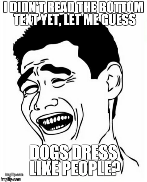 I DIDN'T READ THE BOTTOM TEXT YET, LET ME GUESS DOGS DRESS LIKE PEOPLE? | made w/ Imgflip meme maker