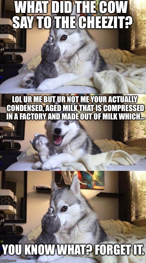 I'm Bad at Puns Dog | WHAT DID THE COW SAY TO THE CHEEZIT? LOL UR ME BUT UR NOT ME YOUR ACTUALLY CONDENSED, AGED MILK THAT IS COMPRESSED IN A FACTORY AND MADE OUT | image tagged in i'm bad at puns dog | made w/ Imgflip meme maker