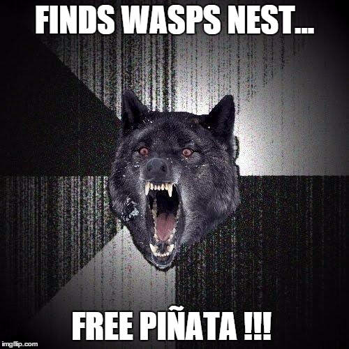 My brother definitely had a memorable birthday. | FINDS WASPS NEST... FREE PIÑATA !!! | image tagged in memes,insanity wolf,happy birthday,pinata | made w/ Imgflip meme maker