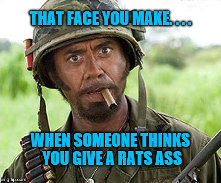 Robert Downey Jr Tropic Thunder | THAT FACE YOU MAKE. . . . WHEN SOMEONE THINKS YOU GIVE A RATS ASS | image tagged in robert downey jr tropic thunder | made w/ Imgflip meme maker