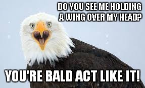 DO YOU SEE ME HOLDING A WING OVER MY HEAD? YOU'RE BALD ACT LIKE IT! | made w/ Imgflip meme maker