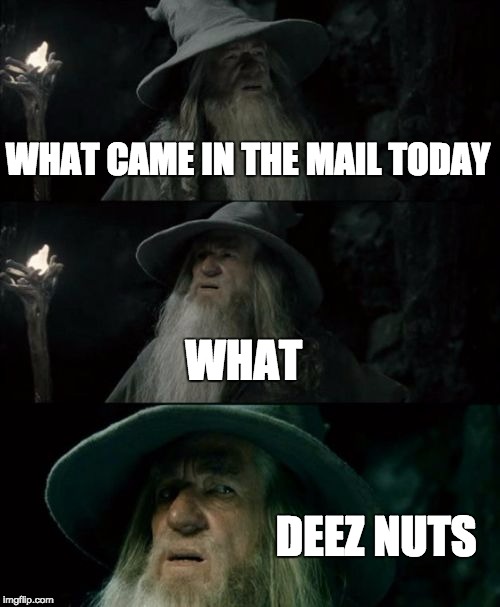 Confused Gandalf Meme | WHAT CAME IN THE MAIL TODAY WHAT DEEZ NUTS | image tagged in memes,confused gandalf | made w/ Imgflip meme maker