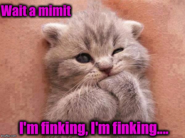 I'm finking, I'm finking kitten  | Wait a mimit I'm finking, I'm finking.... | image tagged in thinking kitten,cute kitten | made w/ Imgflip meme maker