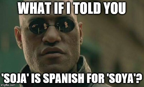 Matrix Morpheus Meme | WHAT IF I TOLD YOU 'SOJA' IS SPANISH FOR 'SOYA'? | image tagged in memes,matrix morpheus | made w/ Imgflip meme maker