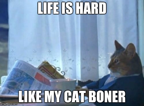 I Should Buy A Boat Cat | LIFE IS HARD LIKE MY CAT BONER | image tagged in memes,i should buy a boat cat | made w/ Imgflip meme maker