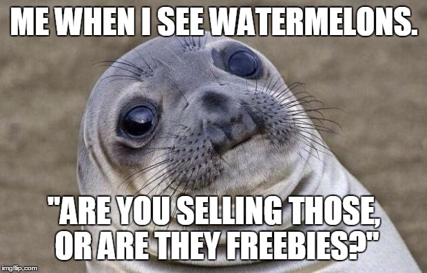 Awkward Moment Sealion Meme | ME WHEN I SEE WATERMELONS. "ARE YOU SELLING THOSE, OR ARE THEY FREEBIES?" | image tagged in memes,awkward moment sealion | made w/ Imgflip meme maker