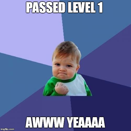 Success Kid | PASSED LEVEL 1 AWWW YEAAAA | image tagged in memes,success kid | made w/ Imgflip meme maker