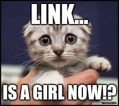 Kittens | LINK... IS A GIRL NOW!? | image tagged in kittens | made w/ Imgflip meme maker