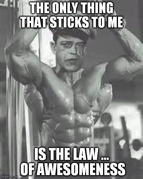 THE ONLY THING THAT STICKS TO ME IS THE LAW ... OF AWESOMENESS | made w/ Imgflip meme maker