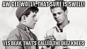 AW GEE WOLLY, THAT SURE IS SWELL! YES BEAV, THAT'S CALLED THE DEEZ KNEE'S | made w/ Imgflip meme maker