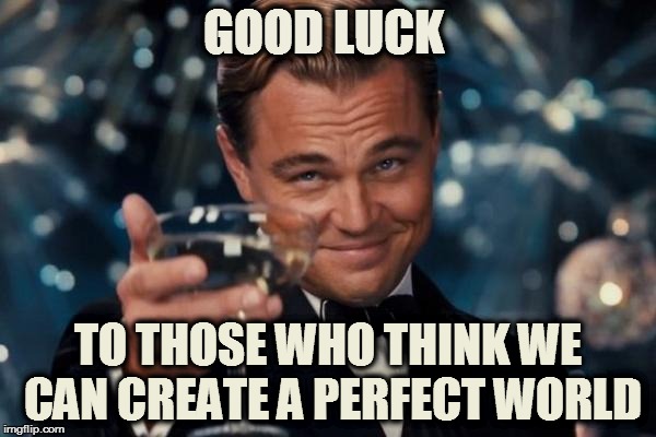 Leonardo Dicaprio Cheers Meme | GOOD LUCK TO THOSE WHO THINK WE CAN CREATE A PERFECT WORLD | image tagged in memes,leonardo dicaprio cheers | made w/ Imgflip meme maker