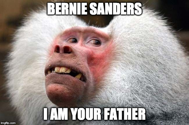 BERNIE SANDERS I AM YOUR FATHER | made w/ Imgflip meme maker