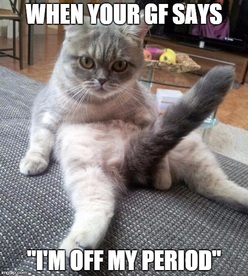 Sexy Cat Meme | WHEN YOUR GF SAYS "I'M OFF MY PERIOD" | image tagged in memes,sexy cat | made w/ Imgflip meme maker