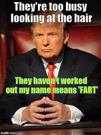 Donald trump | They're too busy looking at the hair They haven't worked out my name means 'FART' | image tagged in donald trump | made w/ Imgflip meme maker