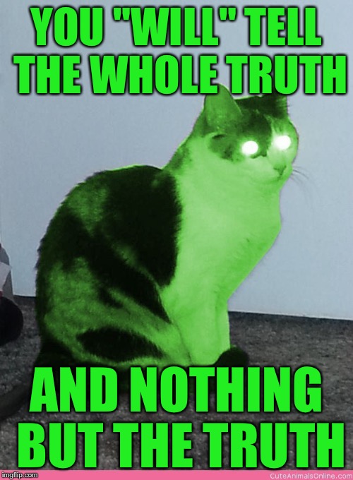 Hypno Raycat | YOU "WILL" TELL THE WHOLE TRUTH AND NOTHING BUT THE TRUTH | image tagged in hypno raycat | made w/ Imgflip meme maker