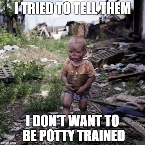 I TRIED TO TELL THEM I DON'T WANT TO BE POTTY TRAINED | image tagged in potty | made w/ Imgflip meme maker