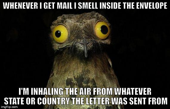 Weird Stuff I Do Potoo | WHENEVER I GET MAIL I SMELL INSIDE THE ENVELOPE I'M INHALING THE AIR FROM WHATEVER STATE OR COUNTRY THE LETTER WAS SENT FROM | image tagged in memes,weird stuff i do potoo,letter,travel | made w/ Imgflip meme maker