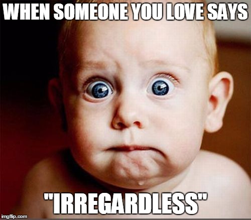 Irregardless | WHEN SOMEONE YOU LOVE SAYS "IRREGARDLESS" | image tagged in grammar,english | made w/ Imgflip meme maker