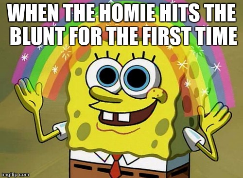 Imagination Spongebob | WHEN THE HOMIE HITS THE BLUNT FOR THE FIRST TIME | image tagged in memes,imagination spongebob,high,blunt | made w/ Imgflip meme maker