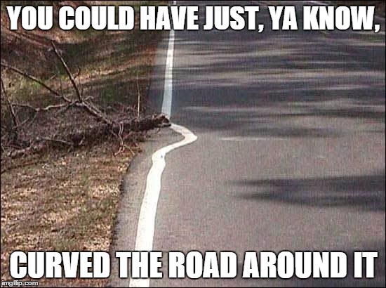 downed tree problem | YOU COULD HAVE JUST, YA KNOW, CURVED THE ROAD AROUND IT | image tagged in road construction | made w/ Imgflip meme maker