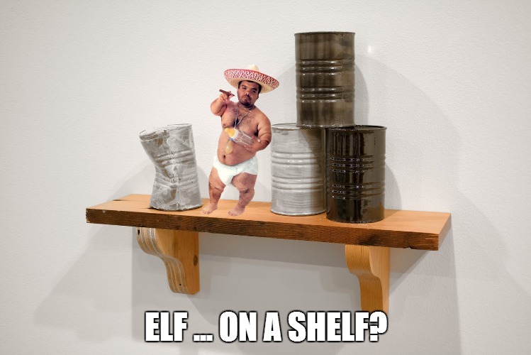 Elf on a shelf? | ELF ... ON A SHELF? | image tagged in elf on a shelf | made w/ Imgflip meme maker