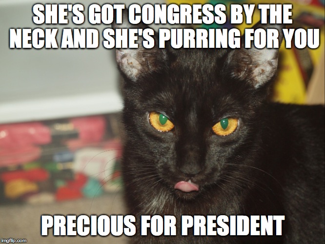 SHE'S GOT CONGRESS BY THE NECK AND SHE'S PURRING FOR YOU PRECIOUS FOR PRESIDENT | image tagged in president | made w/ Imgflip meme maker