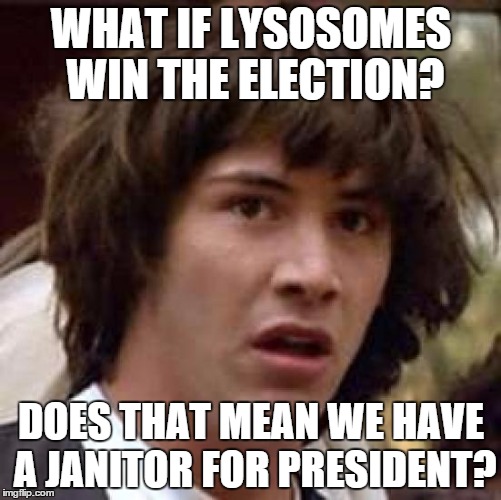 Conspiracy Keanu Meme | WHAT IF LYSOSOMES WIN THE ELECTION? DOES THAT MEAN WE HAVE A JANITOR FOR PRESIDENT? | image tagged in memes,conspiracy keanu | made w/ Imgflip meme maker