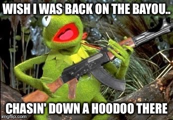 Connery watch out, Kermit's going back to his country roots! | WISH I WAS BACK ON THE BAYOU.. CHASIN' DOWN A HOODOO THERE | image tagged in funny memes,sean connery  kermit | made w/ Imgflip meme maker