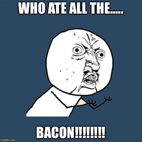Y U No Meme | WHO ATE ALL THE..... BACON!!!!!!!! | image tagged in memes,y u no | made w/ Imgflip meme maker