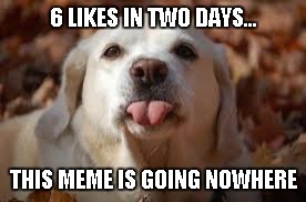 6 LIKES IN TWO DAYS... THIS MEME IS GOING NOWHERE | made w/ Imgflip meme maker