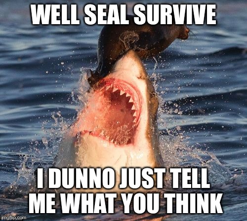 Travelonshark | WELL SEAL SURVIVE I DUNNO JUST TELL ME WHAT YOU THINK | image tagged in memes,travelonshark | made w/ Imgflip meme maker