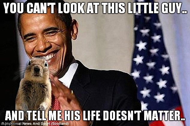 YOU CAN'T LOOK AT THIS LITTLE GUY.. AND TELL ME HIS LIFE DOESN'T MATTER.. | made w/ Imgflip meme maker