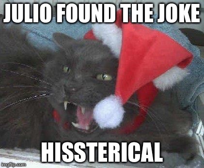 Christmas Cheer | JULIO FOUND THE JOKE HISSTERICAL | image tagged in christmas cheer | made w/ Imgflip meme maker