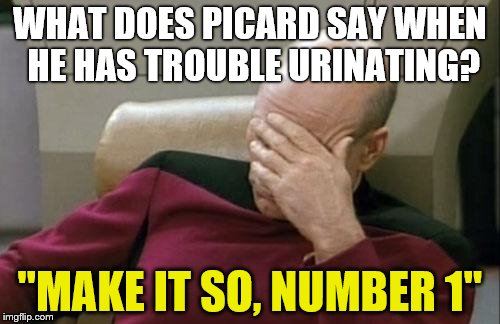 Captain Picard Facepalm Meme | WHAT DOES PICARD SAY WHEN HE HAS TROUBLE URINATING? "MAKE IT SO, NUMBER 1" | image tagged in memes,captain picard facepalm | made w/ Imgflip meme maker