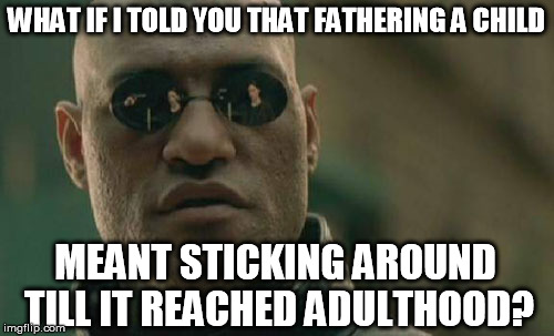 Matrix Morpheus Meme | WHAT IF I TOLD YOU THAT FATHERING A CHILD MEANT STICKING AROUND TILL IT REACHED ADULTHOOD? | image tagged in memes,matrix morpheus | made w/ Imgflip meme maker