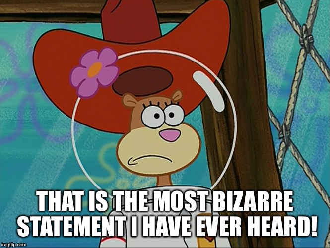Most Bizarre Statement | THAT IS THE MOST BIZARRE STATEMENT I HAVE EVER HEARD! | image tagged in sandy cheeks,memes,spongebob squarepants,sandy cheeks cowboy hat,mind blown,texas girl | made w/ Imgflip meme maker