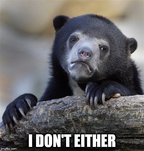 Confession Bear Meme | I DON'T EITHER | image tagged in memes,confession bear | made w/ Imgflip meme maker