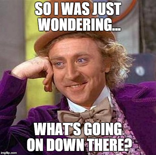 Creepy Condescending Wonka | SO I WAS JUST WONDERING... WHAT'S GOING ON DOWN THERE? | image tagged in memes,creepy condescending wonka | made w/ Imgflip meme maker