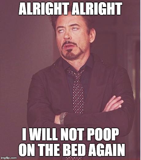 Face You Make Robert Downey Jr | ALRIGHT ALRIGHT I WILL NOT POOP ON THE BED AGAIN | image tagged in memes,face you make robert downey jr | made w/ Imgflip meme maker